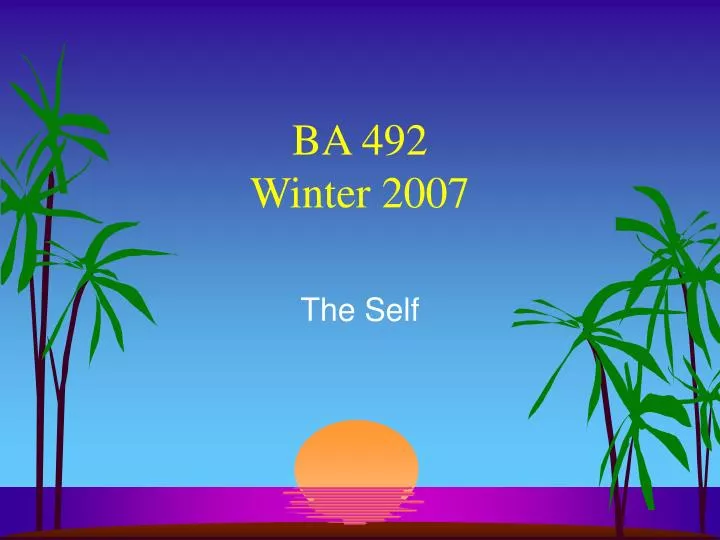 ba 492 winter 2007 n.