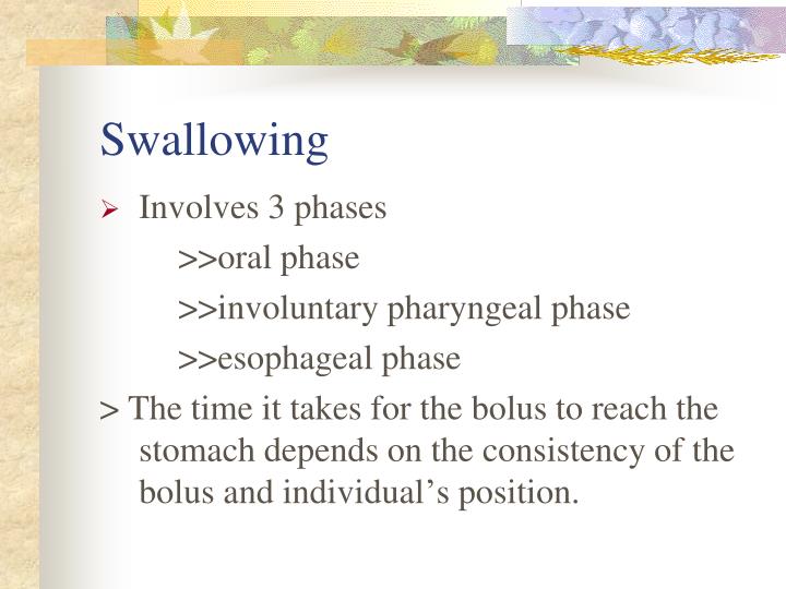 PPT - Nursing Assessment of the Gastrointestinal System PowerPoint ...