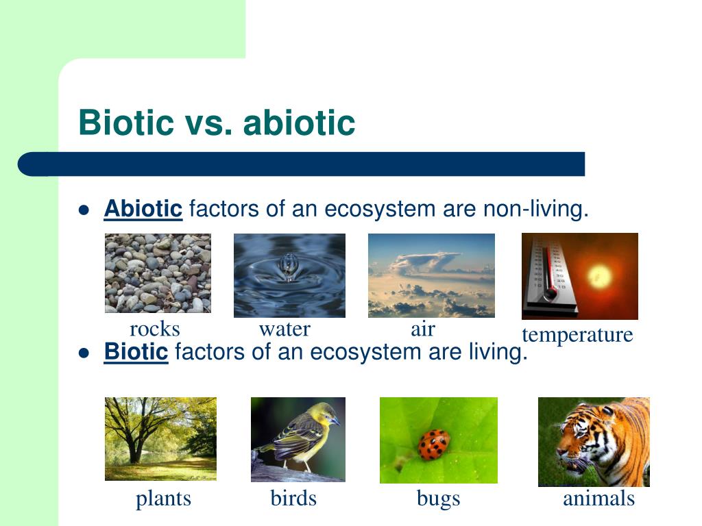 Biotic vs. abiotic.