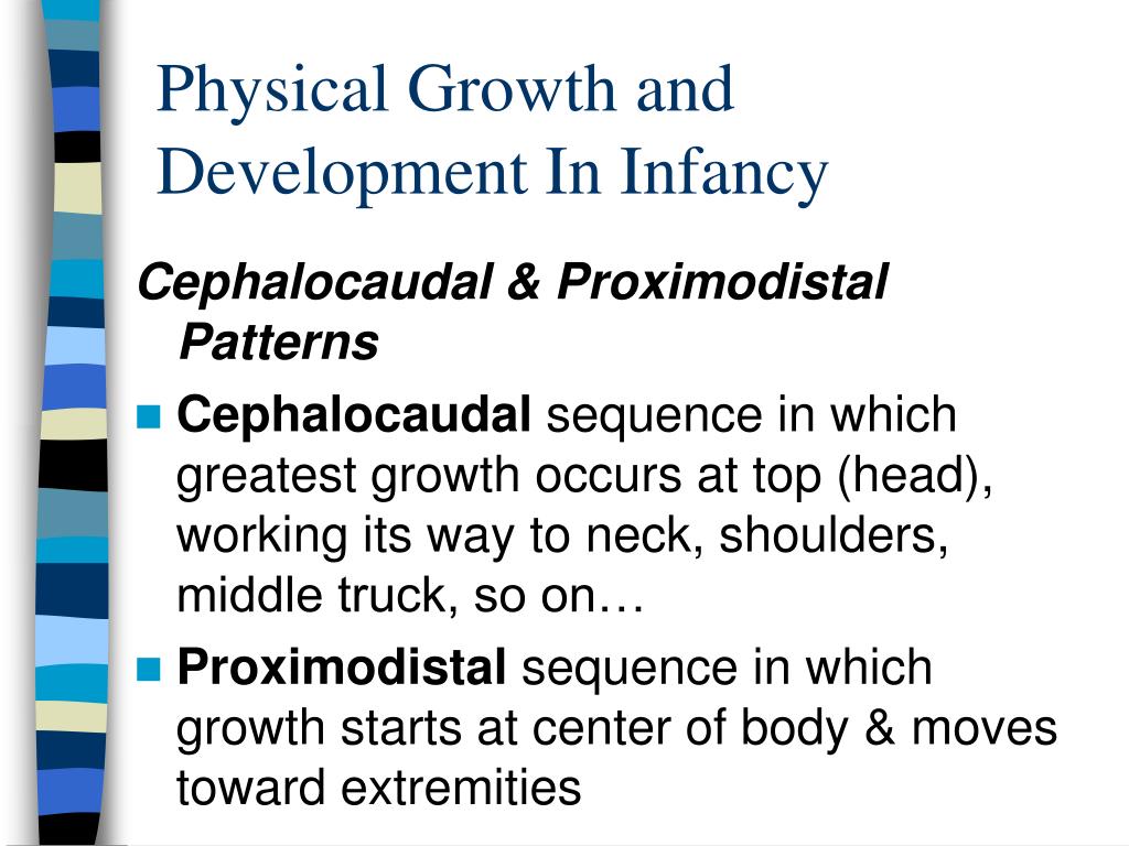 PPT Physical Development in Infancy PowerPoint Presentation, free