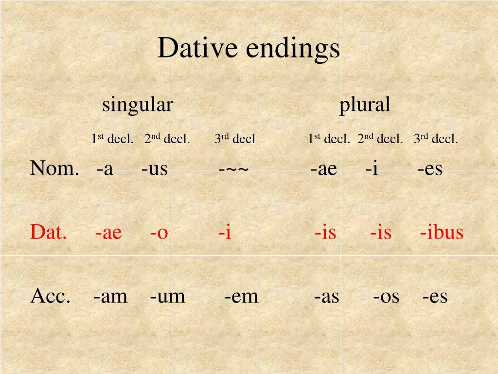 accusative singular latin endings