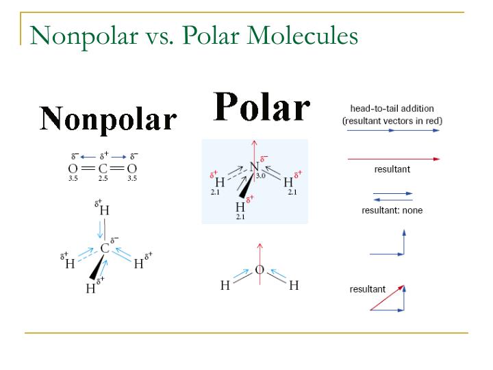 PPT - Intermolecular Forces and Properties of Matter PowerPoint ...