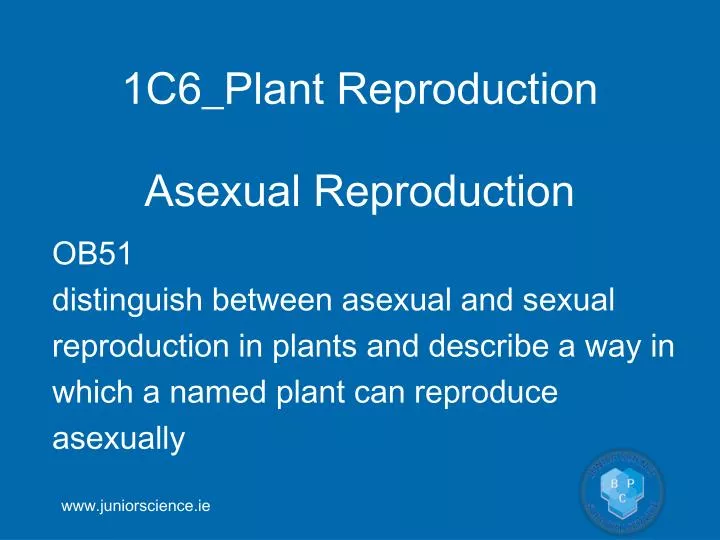 1c6 plant reproduction n.