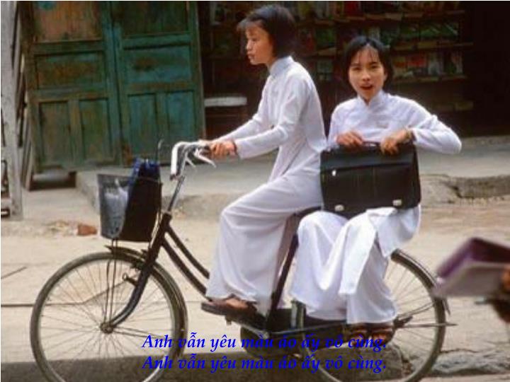 Image result for MÀU ÁO ẤY...