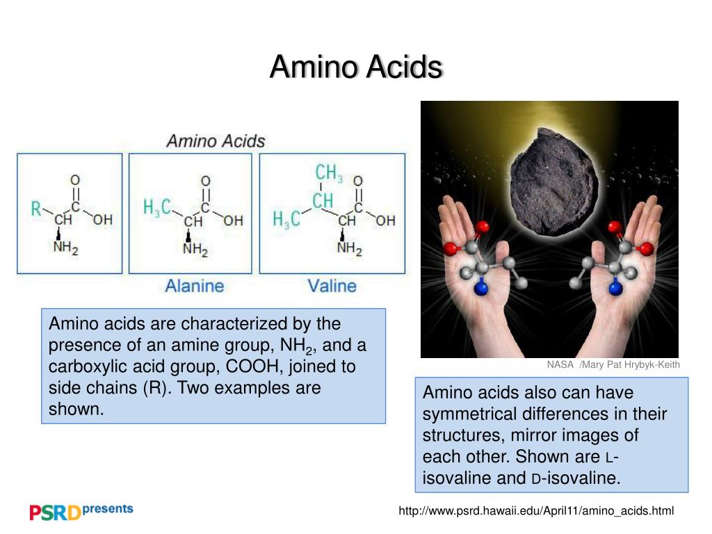 PPT Wet, Carbonaceous Asteroids Altering Minerals, Changing Amino Acids PowerPoint