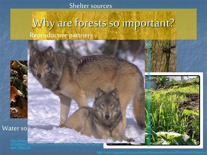 PPT Play Area PowerPoint Presentation ID 1727603