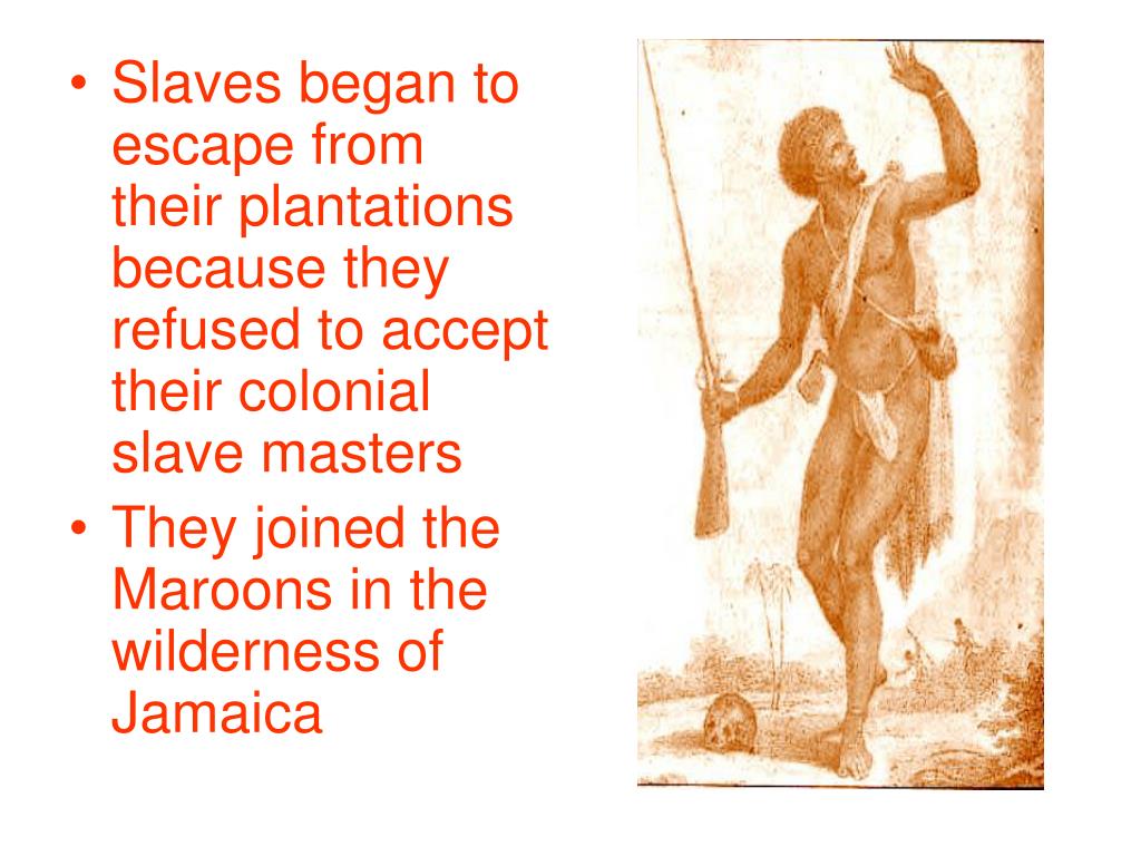 PPT The Jamaican Maroons Escaped slaves who fought the British rulers