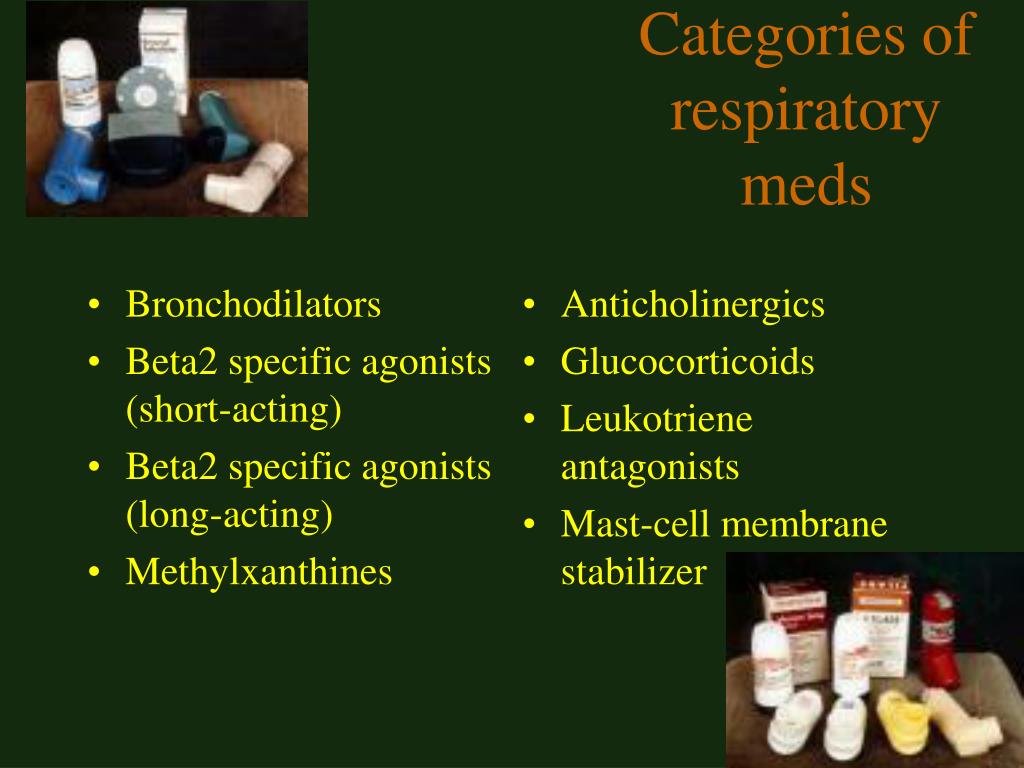 PPT - Drugs that Affect the Respiratory System PowerPoint Presentation