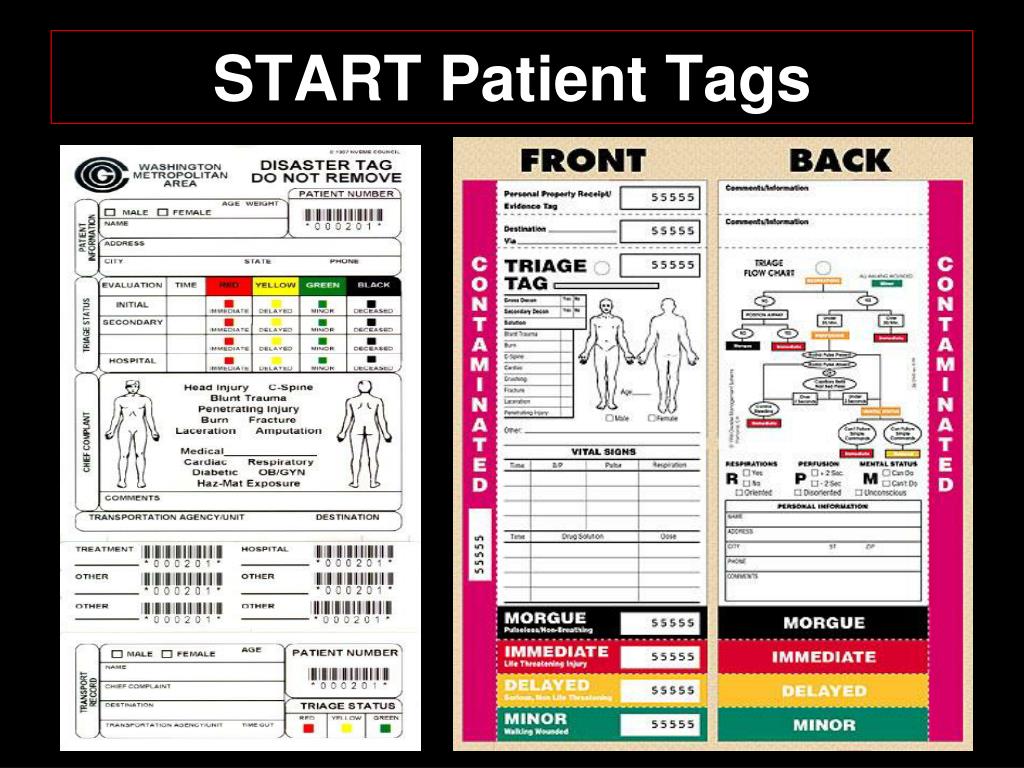 PPT - Mass Casualty & Disaster Triage PowerPoint Presentation, free ...