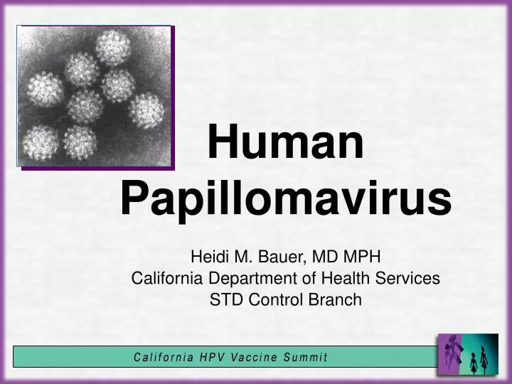 humán papillomavírus hpv ppt