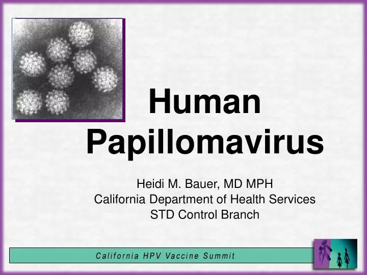 human papillomavirus diagnosis ppt