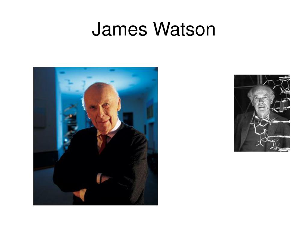 PPT Honours Programma Achtst e Bijeenkomst 1 8 november 2004 PowerPoint Presentation ID1738032