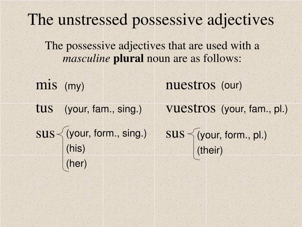 PPT - Possessive Adjectives PowerPoint Presentation, free download - ID ...