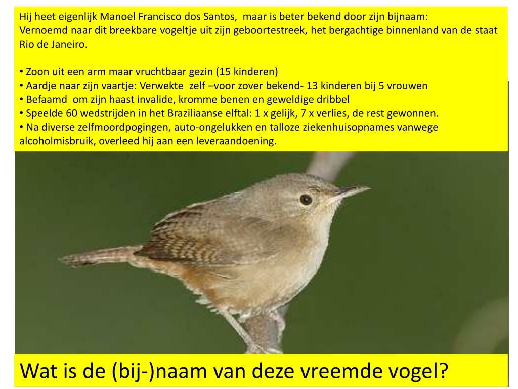 PPT - Ingekomen stukken: Rondje langs de Braziliaanse velden PowerPoint