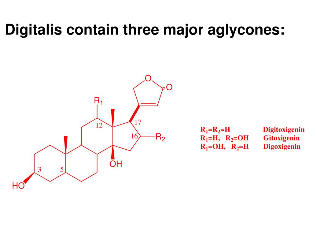 PPT The Cardiac Glycosides Cardioactive Glycosides PowerPoint