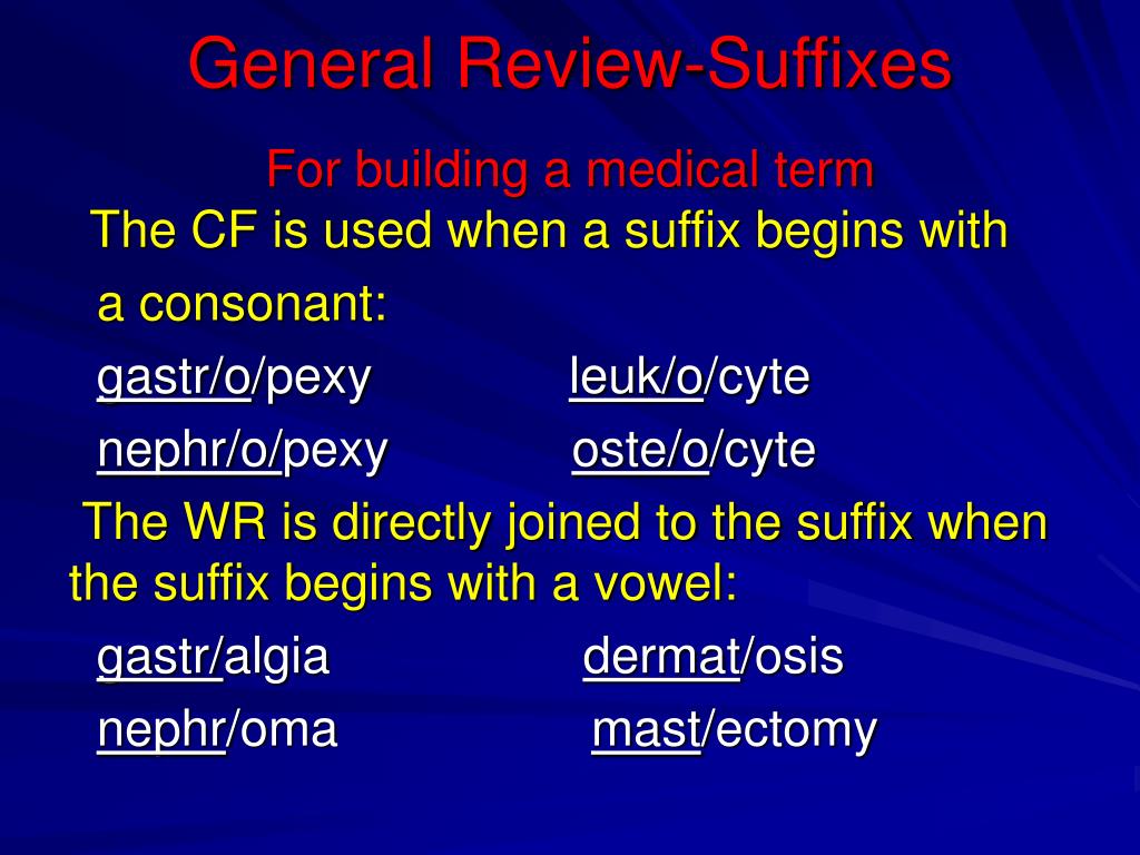 ppt-medical-terminology-powerpoint-presentation-free-download-id