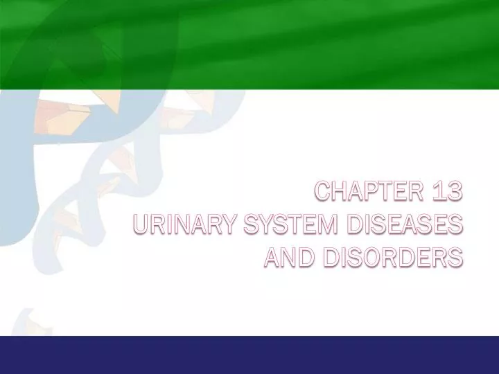 anatomy blueprint pro urinary anatomy blueprint pro urinary