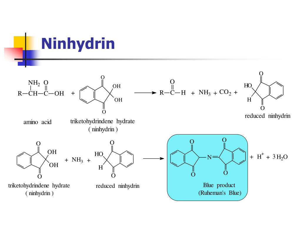 PPT AMINO ACID & PROTEIN PowerPoint Presentation, free download ID