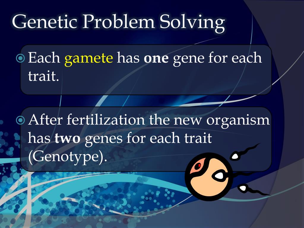 genetic problem solving