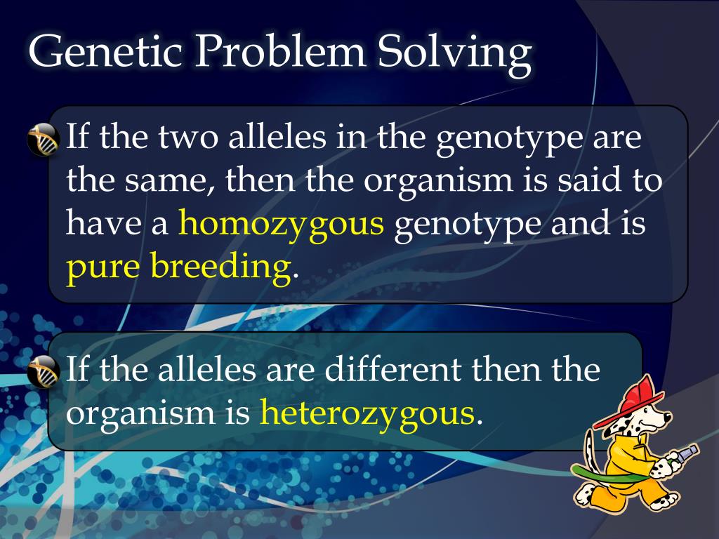 genetic problem solving
