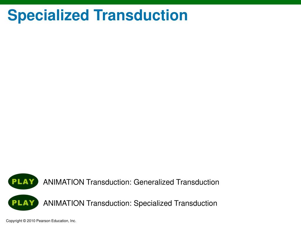 PPT - Chapter 13 PowerPoint Presentation, free download - ID:1743438 PPT - Chapter 13 PowerPoint Presentation, free download - ID:1743438