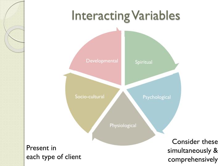 PPT Neuman Systems Model PowerPoint Presentation ID1744817
