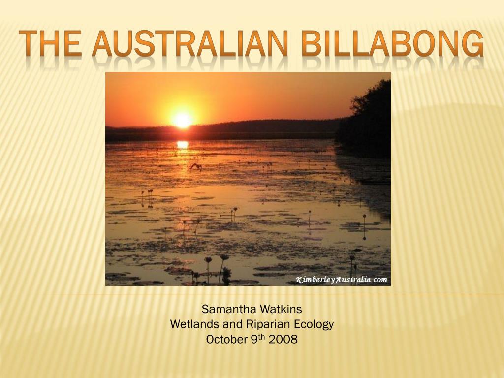 PPT - The Australian Billabong PowerPoint Presentation, free download -  ID:1744878
