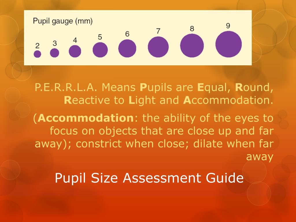 picture of pupil size chart picture of pupil size chart