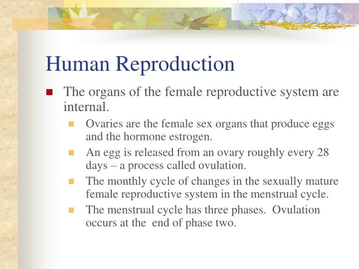 PPT - Chapter 19: The Human Body PowerPoint Presentation - ID:1745845