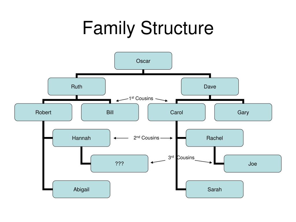 family structure assignment