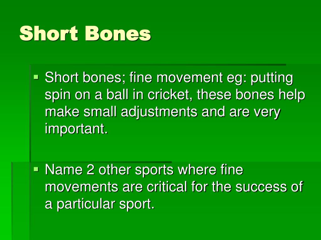 PPT The Skeleton PowerPoint Presentation Free Download ID 1746386