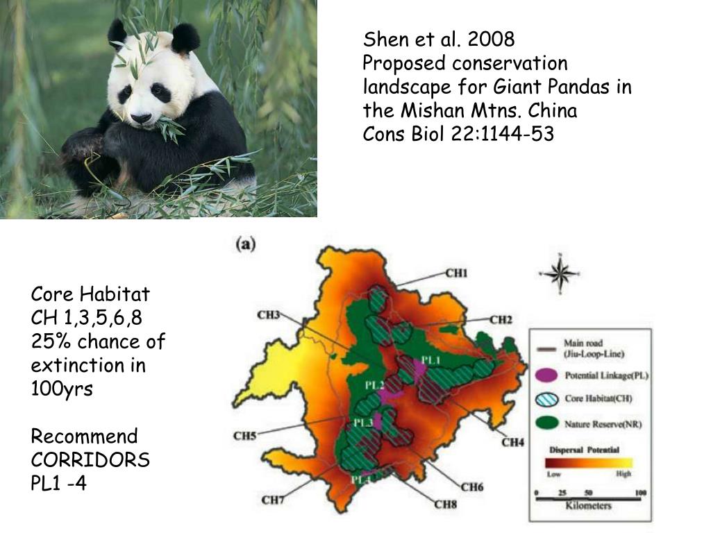 Giant Panda Population Map China