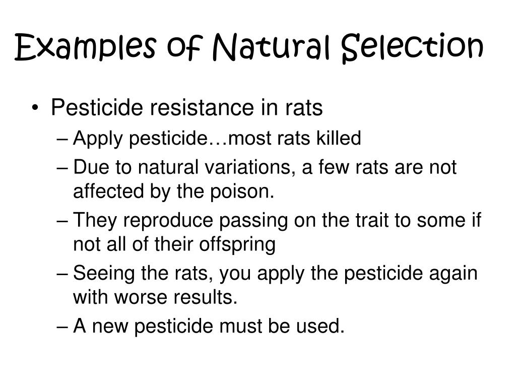 the origin of species by means of natural selection the origin of species by means of natural selection