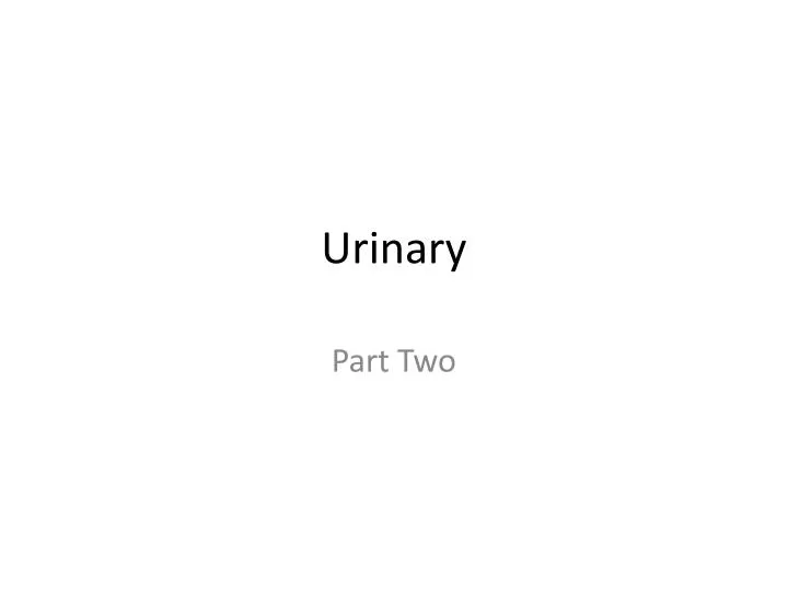 urinary n.