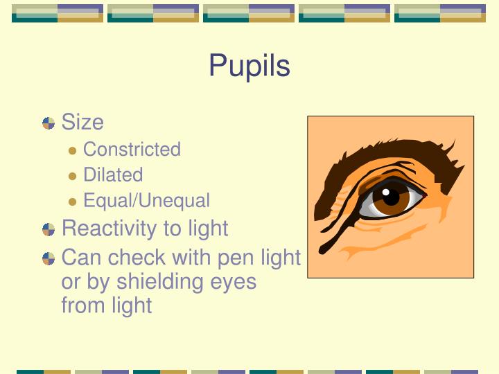 unequal pupil size medical term