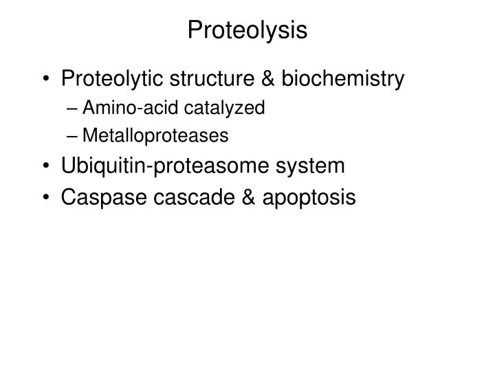 proteolysis n.