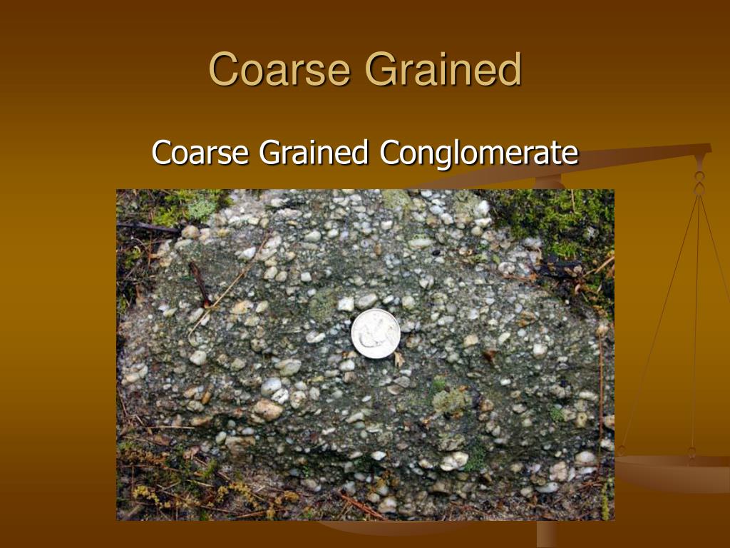 What Is Coarse Grained Mean