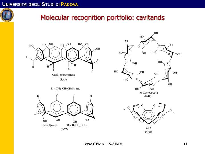molecular-recognition-portfolio-cavitands-n.jpg