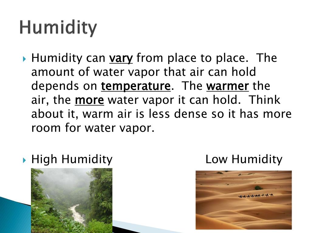 What Is The Definition Of Humidity In Biology