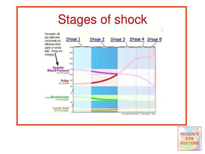 PPT Shock More than just low blood pressure PowerPoint Presentation