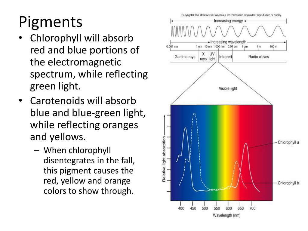 pigments spectrum sound pack pigments spectrum sound pack