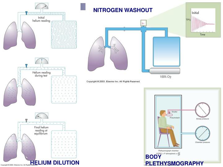 PPT PULMONARY FUNCTION MEASUREMENTS PowerPoint Presentation ID1755704