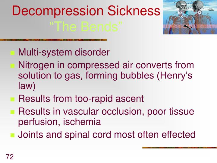 PPT - Environmental Emergencies PowerPoint Presentation - ID:1755761
