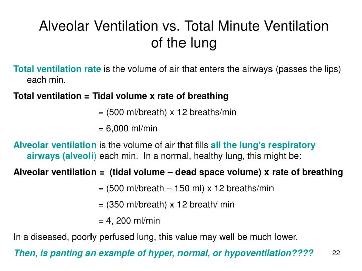 minute ventilation is dead space plus alveolar minute ventilation is dead space plus alveolar
