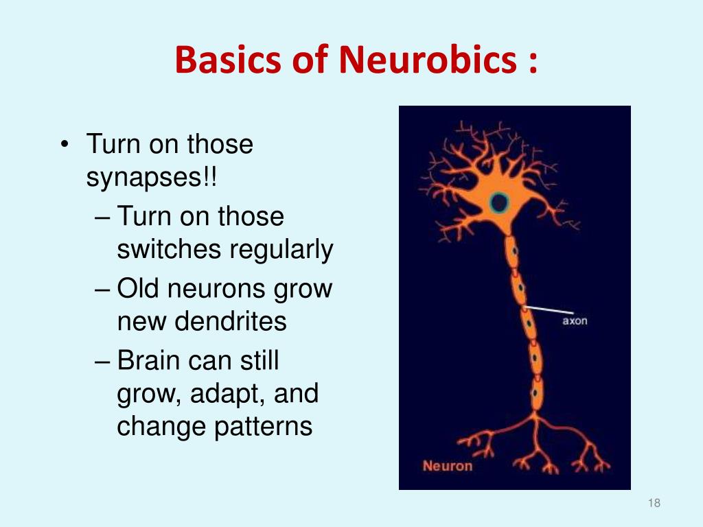 Neurobics definition