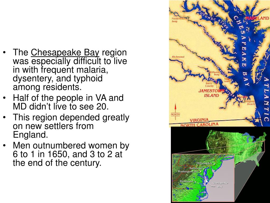 PPT - Life in the Chesapeake and New England Colonies: 1607-1692 ...