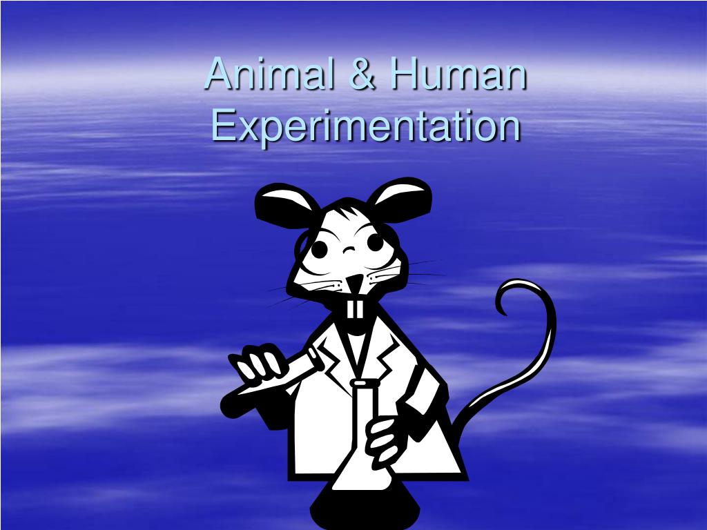 PPT - Animal & Human Experimentation PowerPoint Presentation, free download - ID:1757100 PPT - Animal & Human Experimentation PowerPoint Presentation, free download - ID:1757100