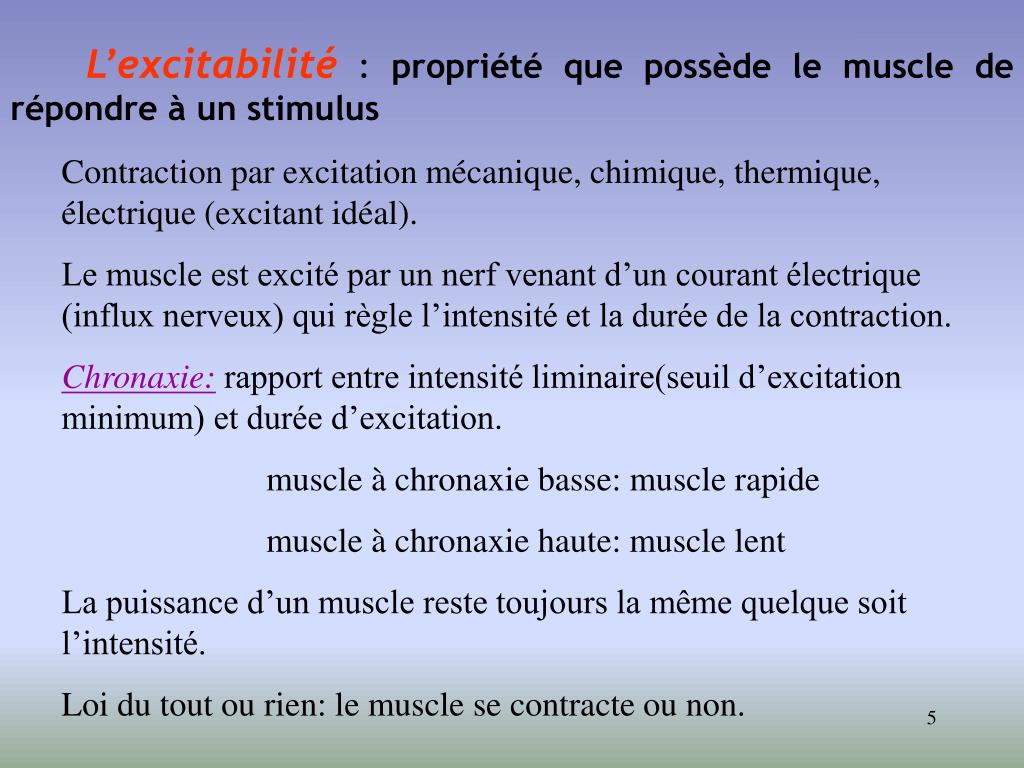 PPT Physiologie Musculaire PowerPoint Presentation Free Download 
