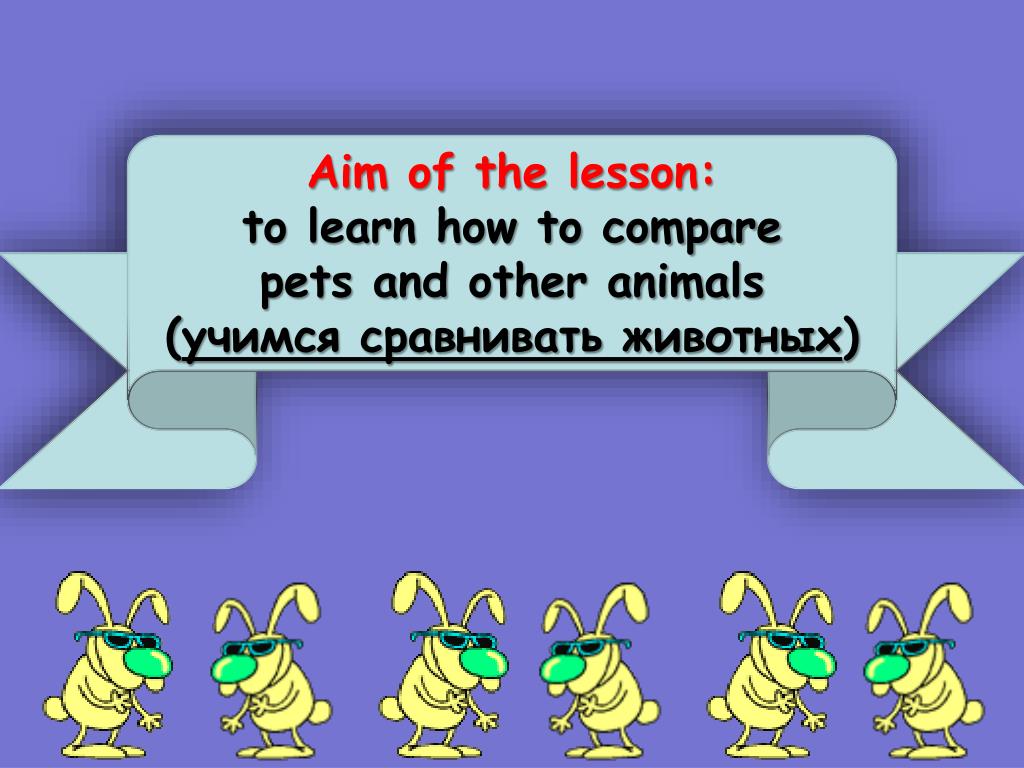 Стихотворение Pets and other animals 5 класс. Presentation about Pets. Pets ppt. Pets презентация