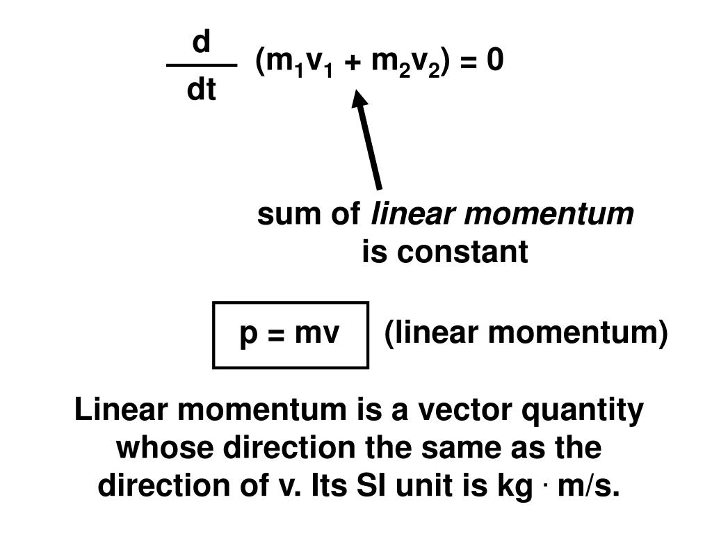 Momentum Linear Equation Momentum Linear Equation